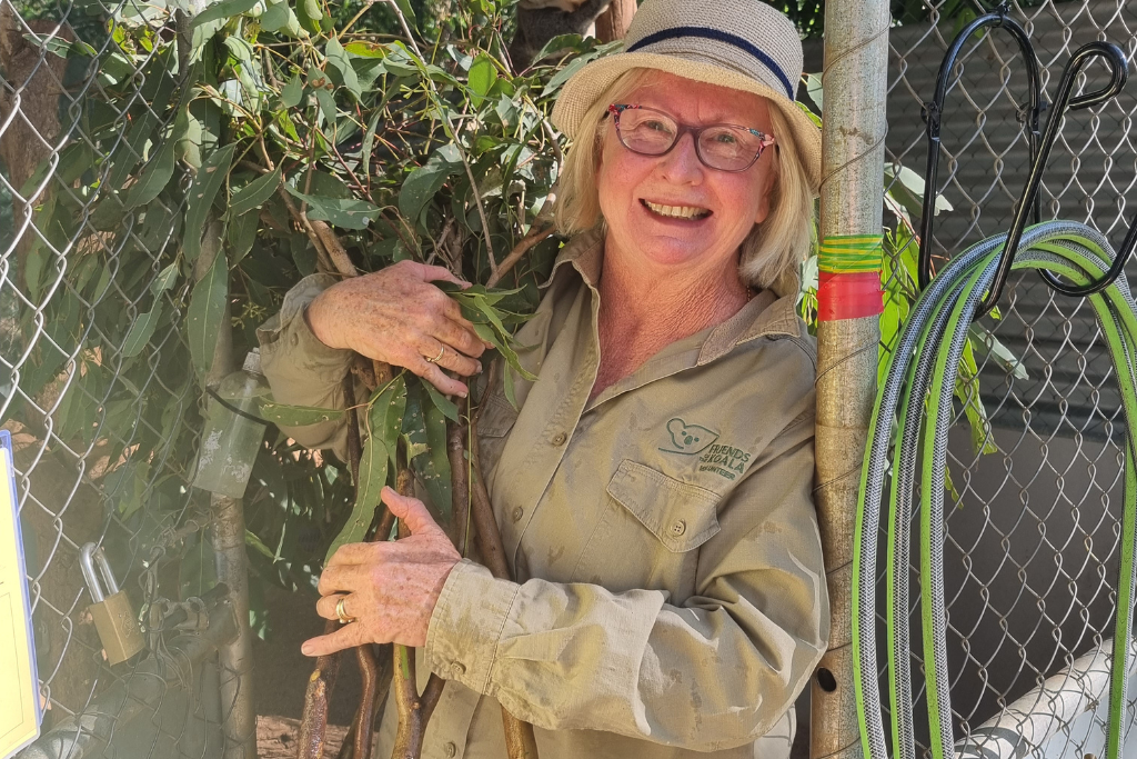 Meet our Volunteers who work tirelessly to save koalas