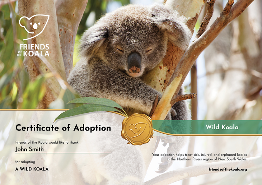 Certificate of Adoption Wild Koala