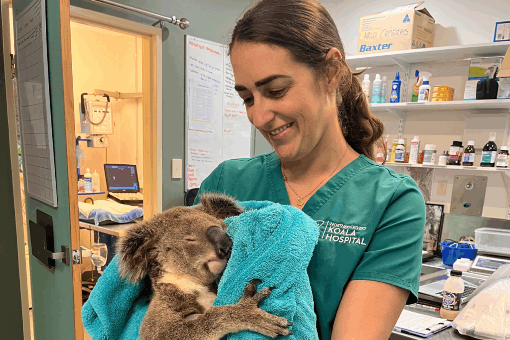 Koala Hospital Expansion