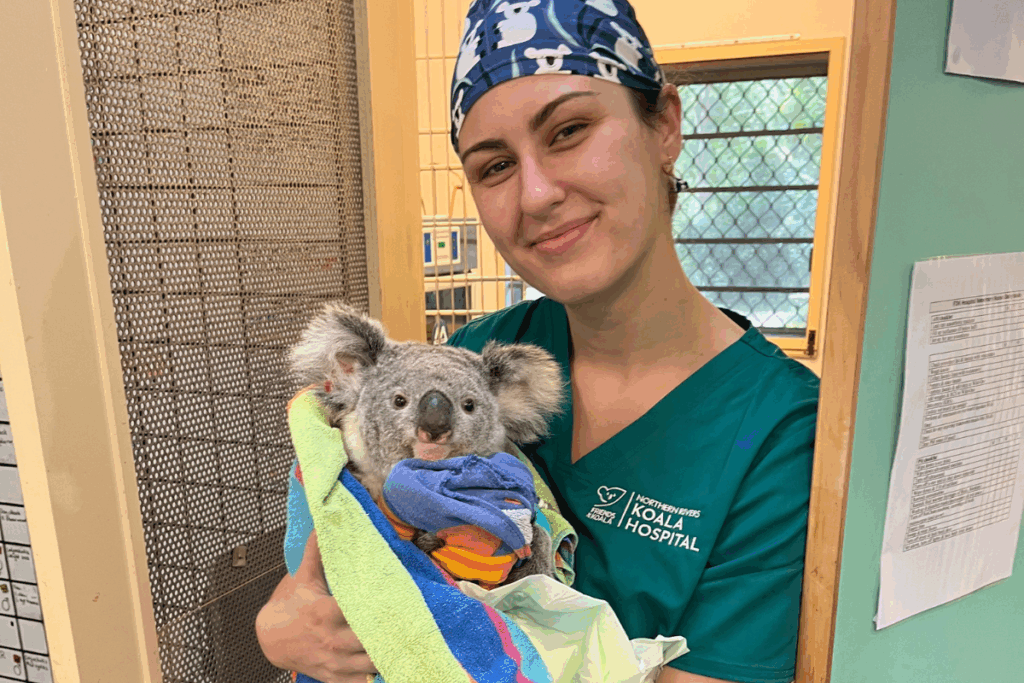 Koala Hospital Expansion