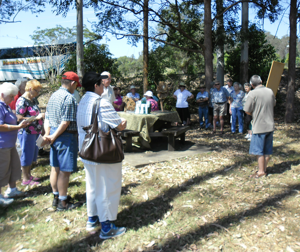 Community Koala Tours