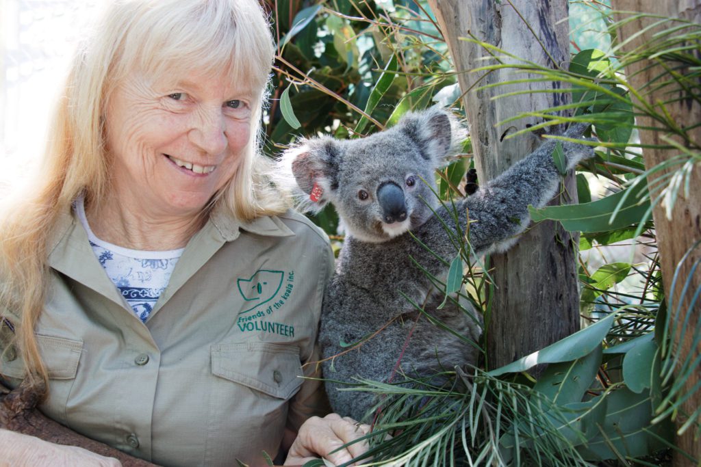 Friends Of The Koala