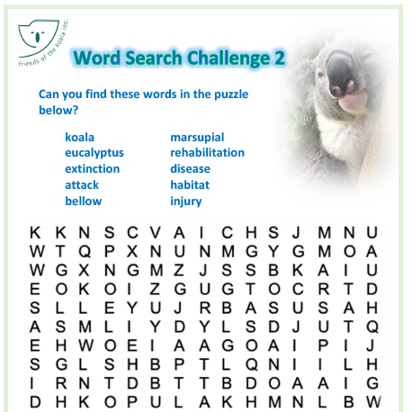 Koala Trivia