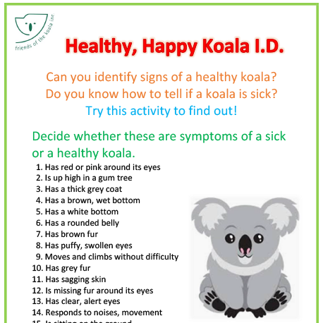 Healthy Happy Koala I.D.