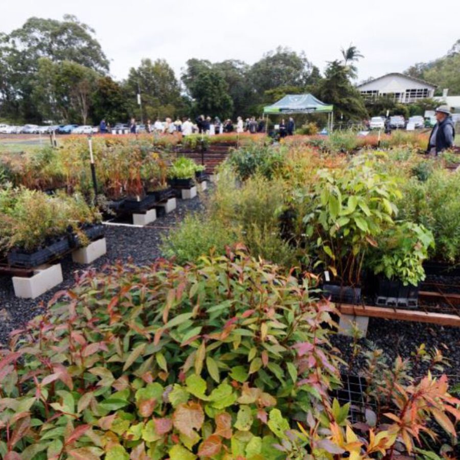 Bushfire Recovery Nursery Officially Launched