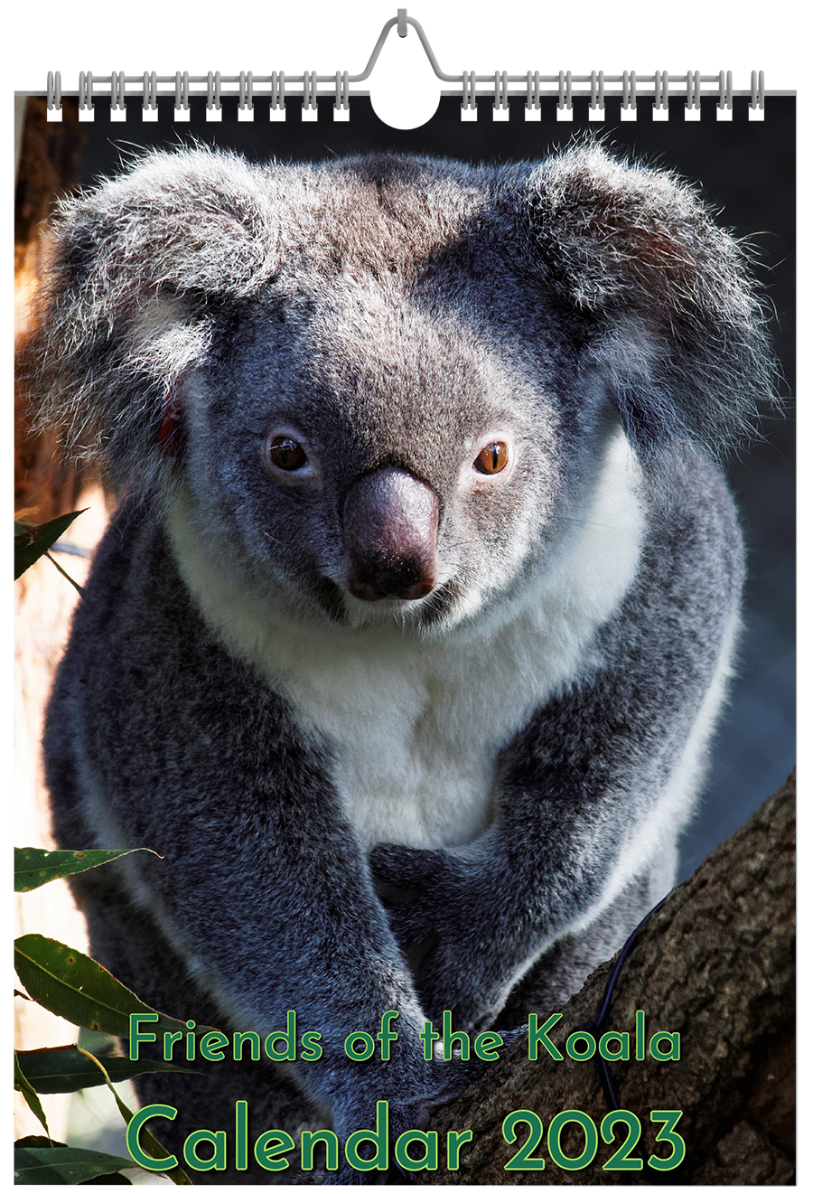 Friends-of-the-Koala-Calendar