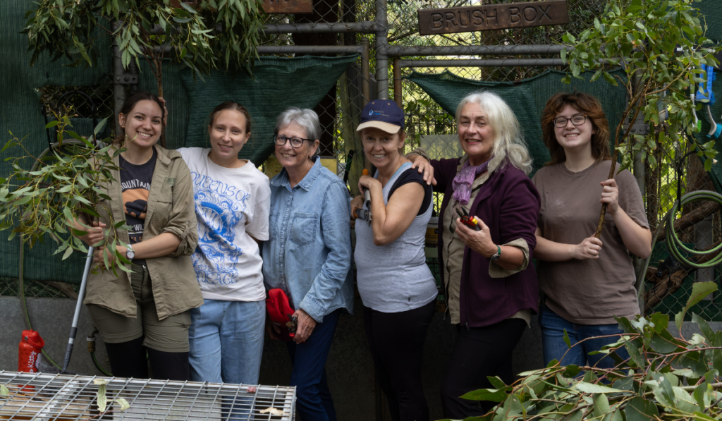 International Volunteer Month 2026(6)