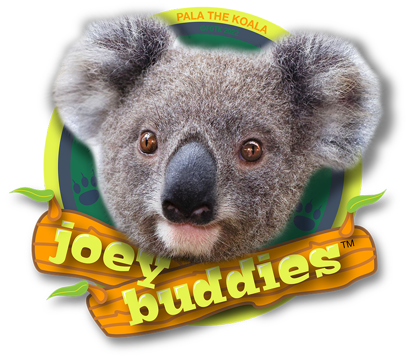 Amazing Facts about Koala Joeys