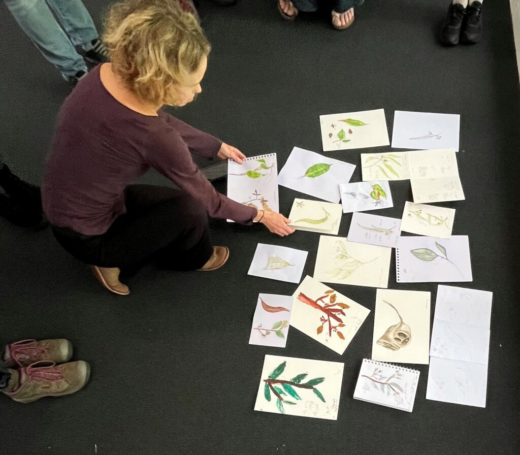 A ‘showing’ of the botanical masterpieces produced by participants at the Koala Food Tree ID - Learning through Drawing workshop. 