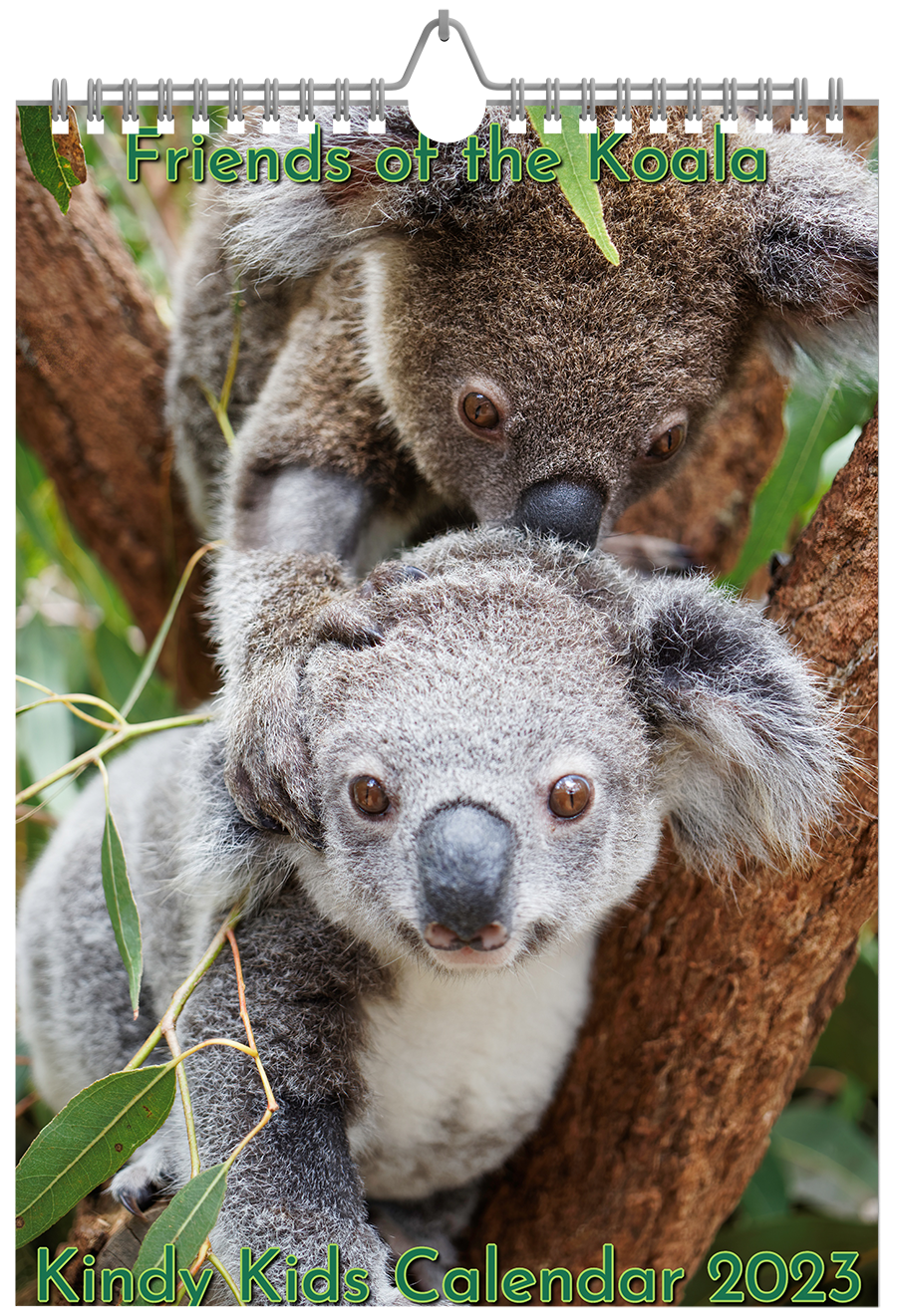 Kindy-Kids-Calendar