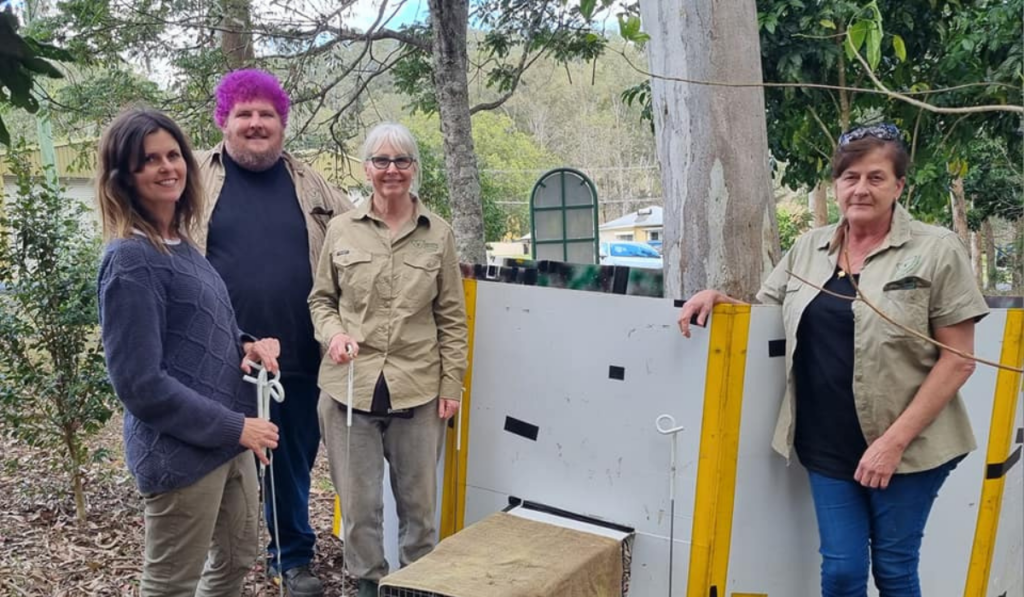 Become a koala volunteer