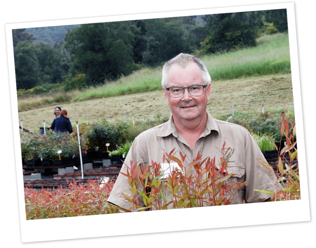 Native Plant Nursery Northern Rivers Friends of the Koala