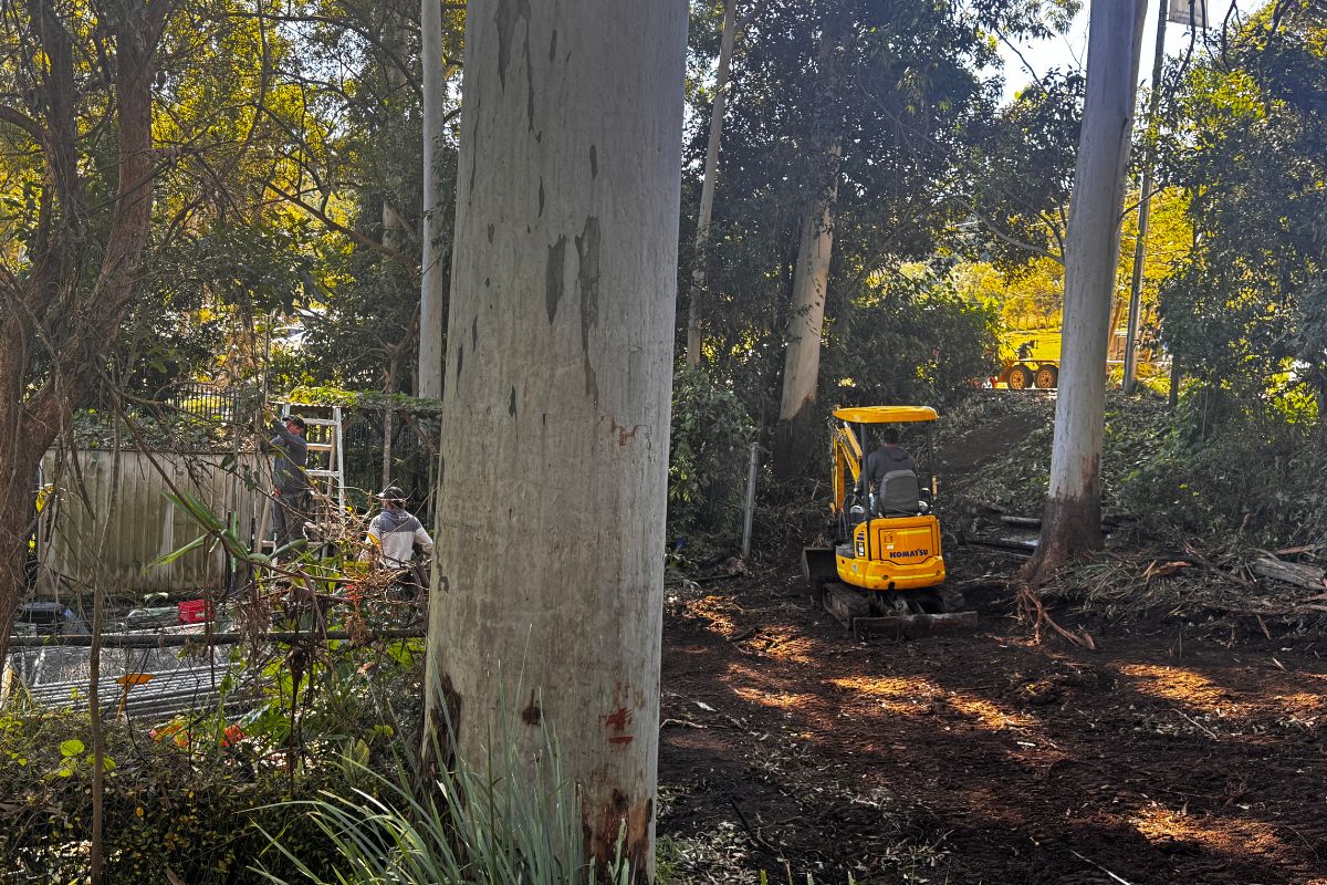 Northern Rivers Koala Hospital Expansion