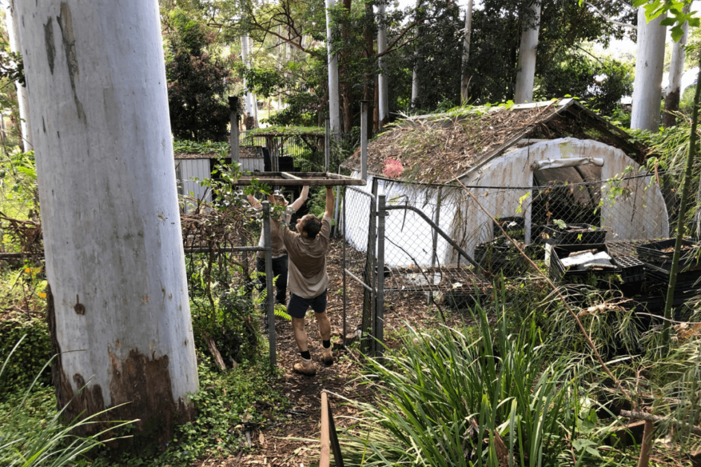 Clearing our the areas for our Koala Hospital expansion has already begun