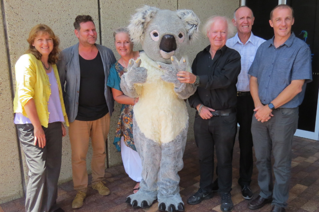 Northern Rivers koala conservation