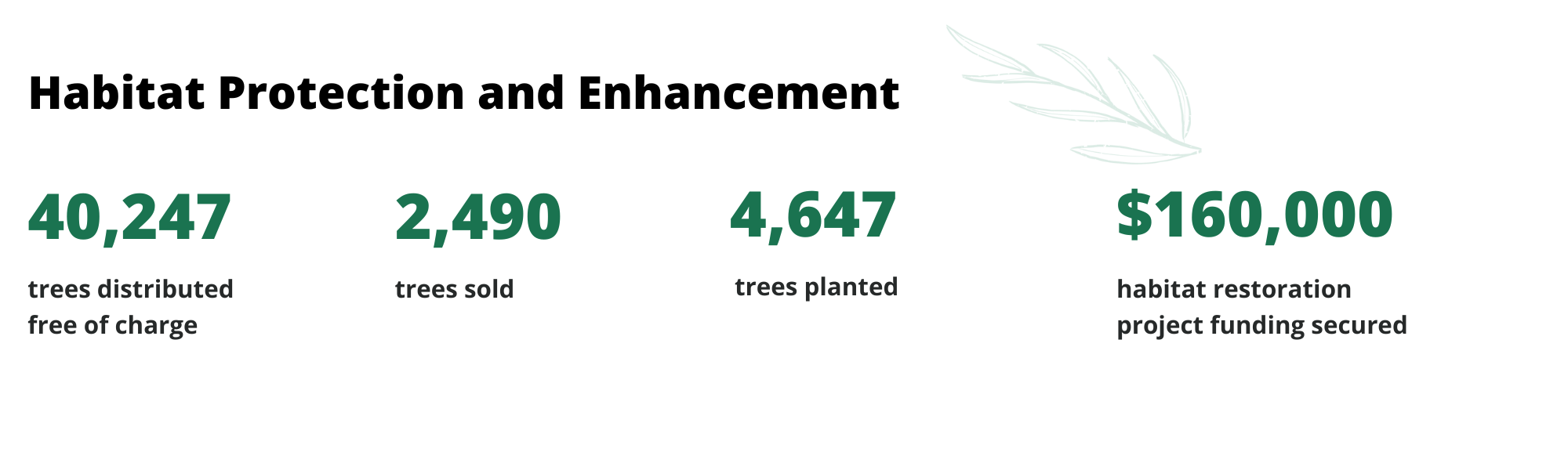 Friends of the Koala habitat protection and enhancement 2024