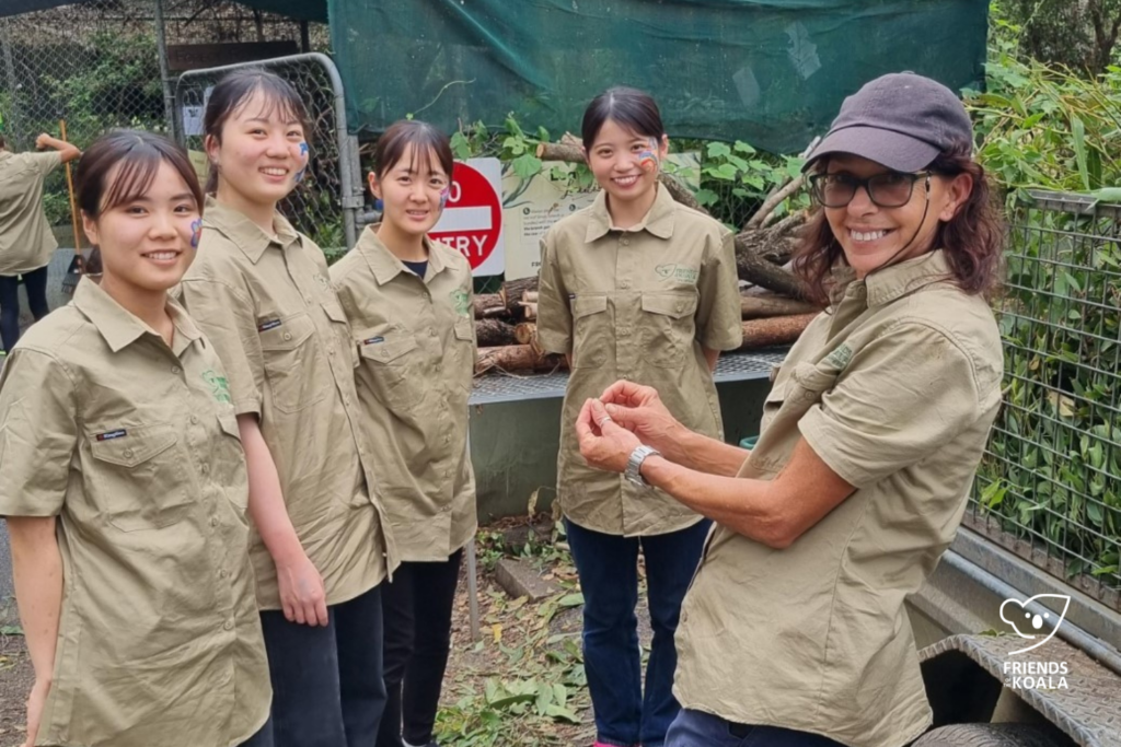 Volunteers at our Koala Care Centre