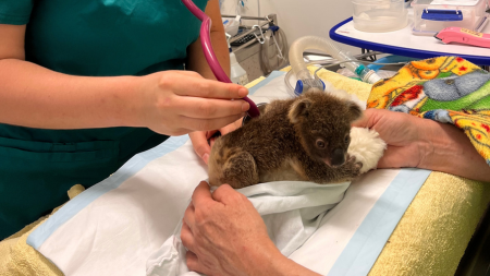 Untitled design(410)