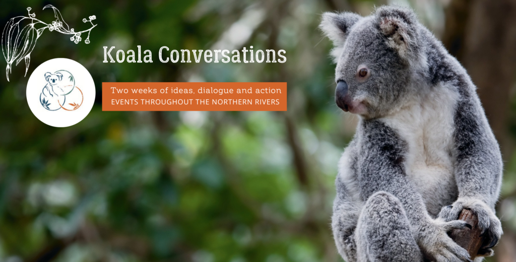 Koala Conversations Northern Rivers NSW