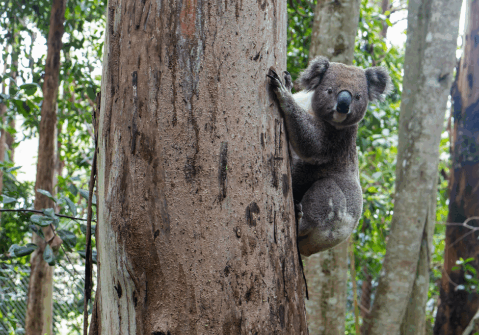 Annual General Meeting on 5 December 2025