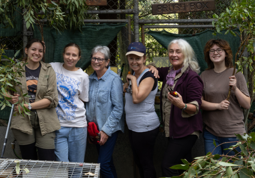 International Volunteer Month 2026(6)