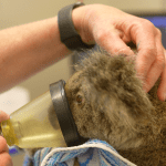 Photos-for-Media1-min