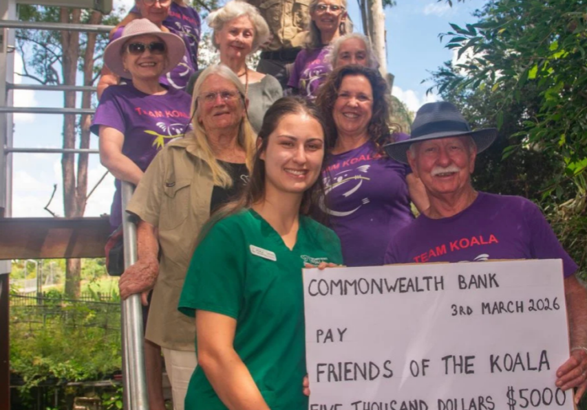 Northern Rivers Koala Hospital Expansion campaign