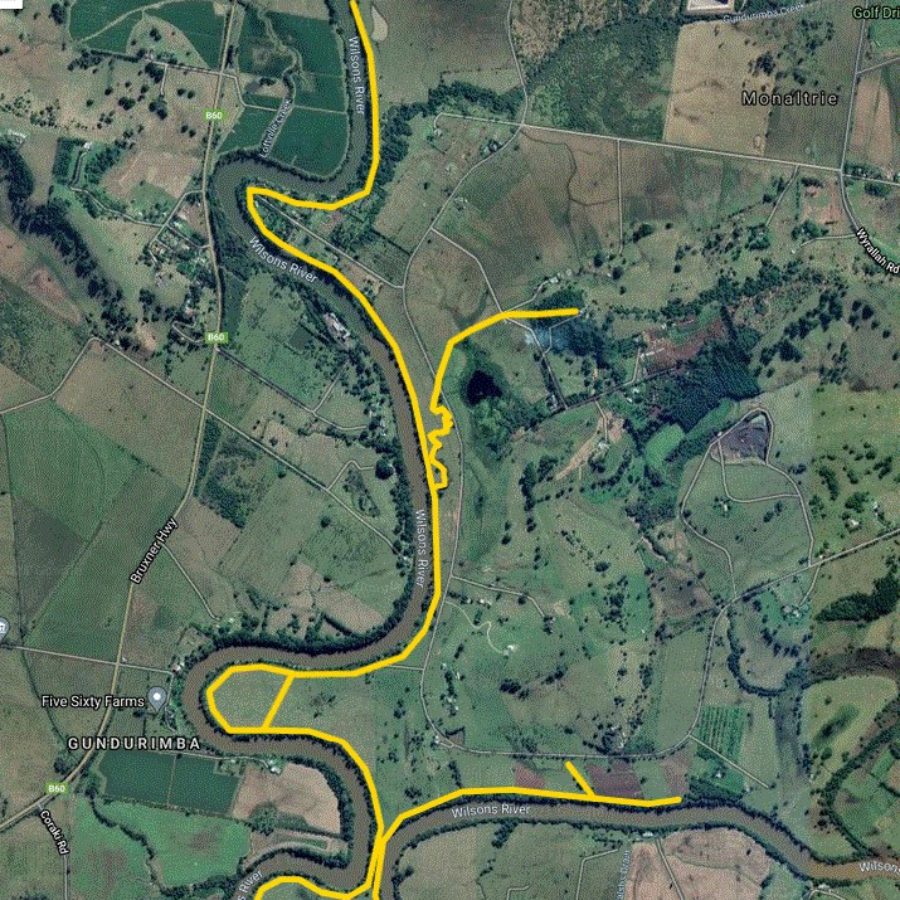 Another successful koala habitat restoration project completed