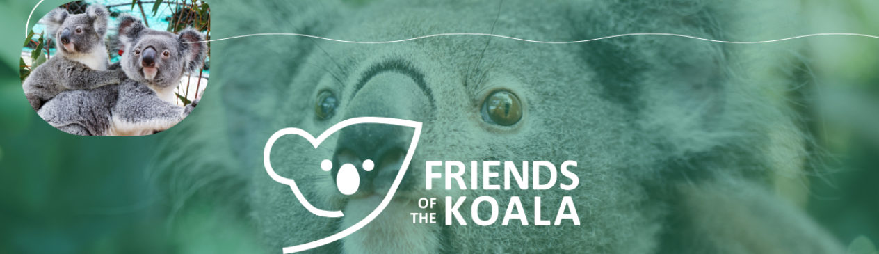 Friends of the Koala